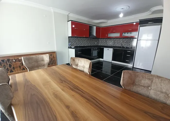 Villa Begonville Ladies *